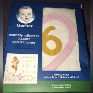 Gerber monthly milestone blanket & frame set